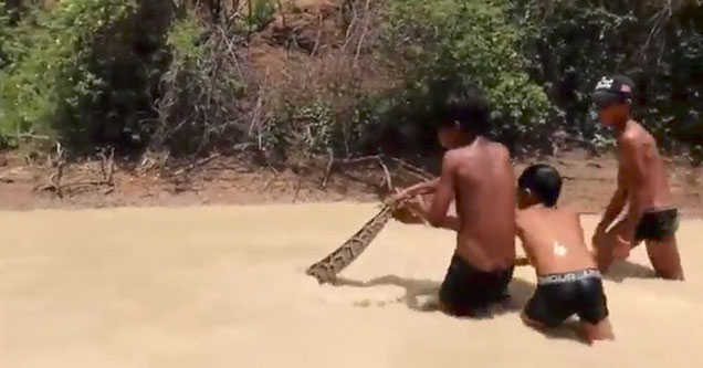 three kids playing with a snake in muddy water