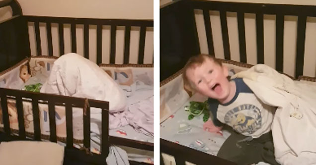 Kid playing hide and seek in his bed, under blanket, big reveal