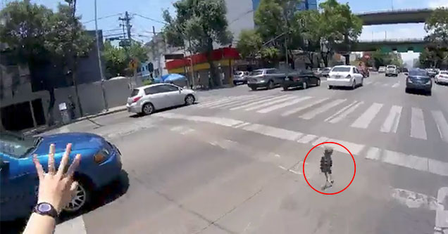 dog owner chases down her dog through traffic