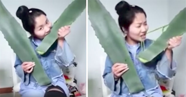 vlogger takes a bite of a big green plant