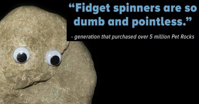 pet rock with quote about fidget spinners being dumb