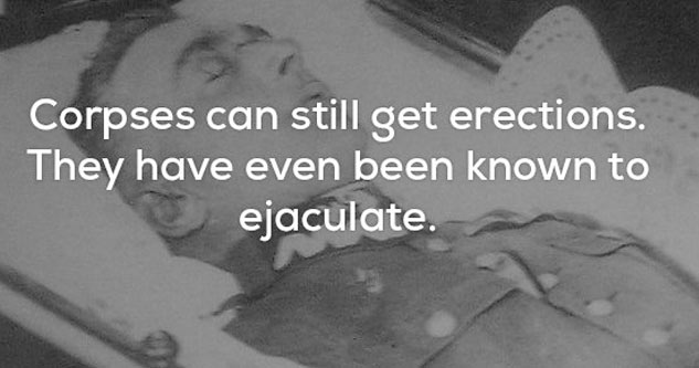 corpses can ejaculate creepy fact meme