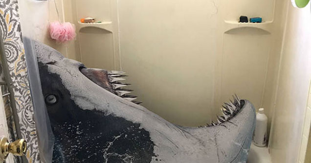 shark cutout hidden in the shower prank