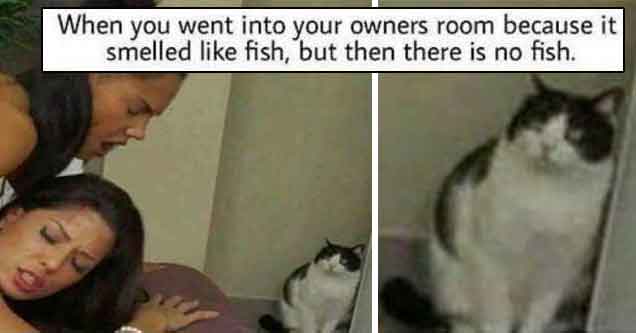 28 Of The Dirtiest Memes You'll See This Week