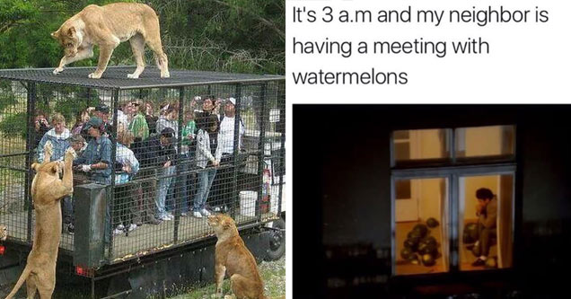 36 Great Pics And Memes to Improve Your Mood