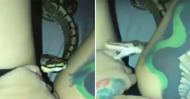 girl gets attacked by her snake on Live stream