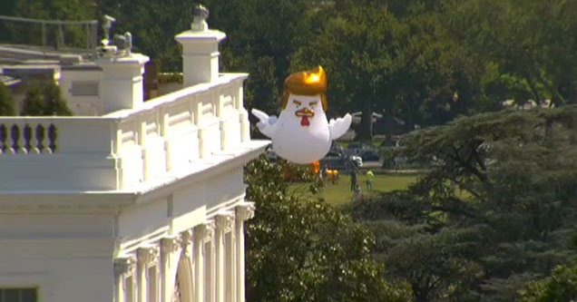 Giant Inflatable Chicken With Trump's Hair Is Currently Behind The White House