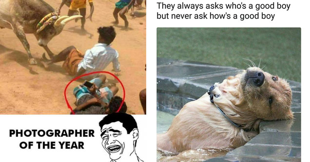 bhojpuri memes - Photographer Of The Year | how's a good boy - They always asks who's a good boy but never ask how's a good boy