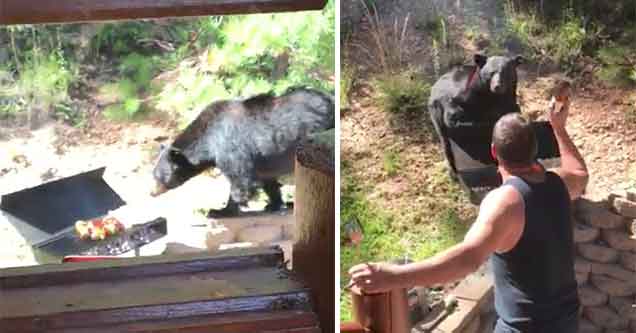 man faces down a bear who wants to eat his bbq