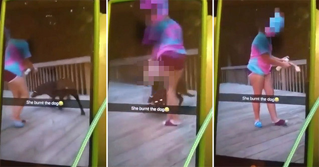 girl tries to burn dawg with aerosol can