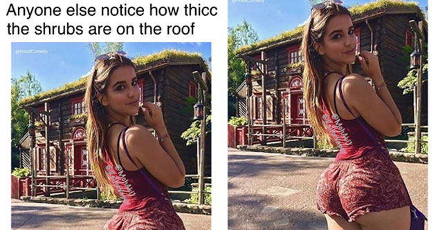 photo caption - Anyone else notice how thicc the shrubs are on the roof wy