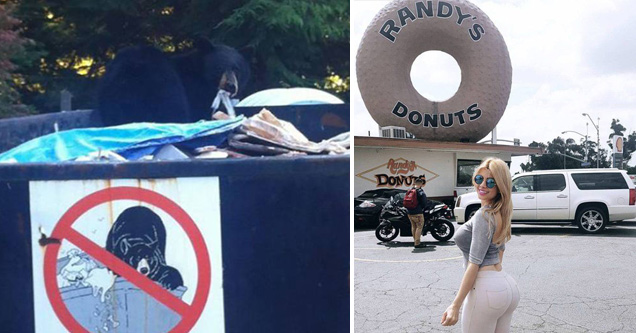 Bear in dumpster and hot girl by Randy's Donuts