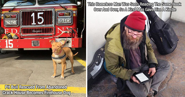 dog standing before a red truck and homeless man using a kindle