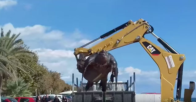 Cat machine used to remove giant sea turtle from the beach