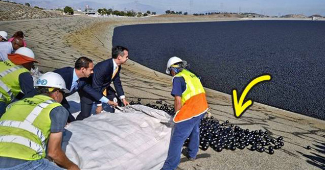 Black balls in California reservoir