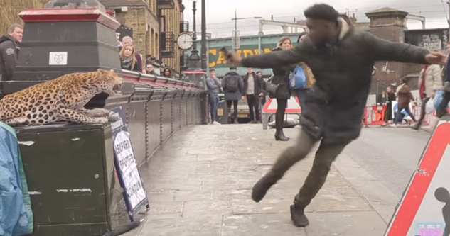 Spotted Leopard Prank Scares Pedestrians