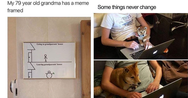 31 Wholesome Memes That Will Give You The Feels