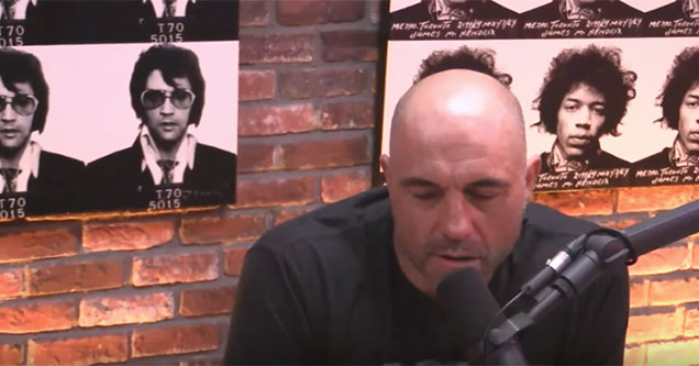 the spirit of joe rogan in 49 seconds