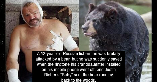 russian bear meme - A 42yearold Russian fisherman was brutally attacked by a bear, but he was suddenly saved when the ringtone his granddaughter installed on his mobile phone went off, and Justin Bieber's Baby sent the bear running back to the woods.