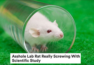 After years and years of human testing on rats, the rats have finally had enough. 