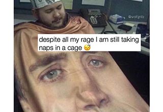 Stay in bed on the day of rest and laugh your way thru these mohstly fresh dank memes!
