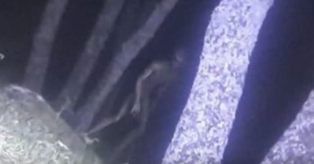 alien captured on camera in argentina