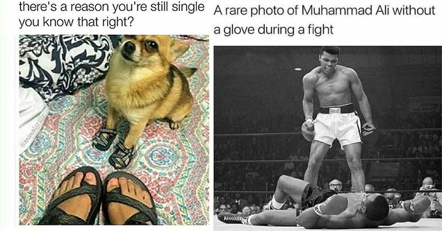 dog making fun of owner for wearing sandles and Muhammad Ali with obscene gesture