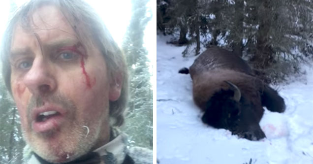 badass dude fought a bison and lived