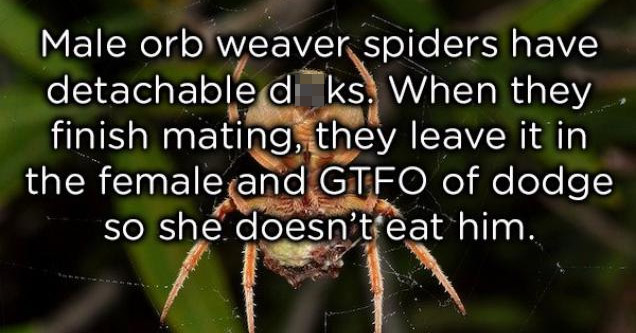 22 Strange Animal Facts That Will Leave You Asking WTF?