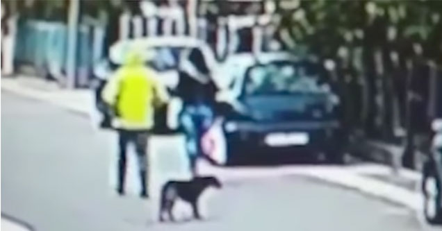 good dog saves woman from an attacker