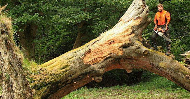 dragon head carved into a fallen tree