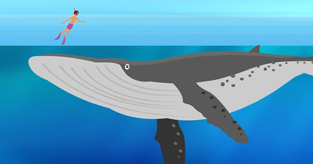 This Amazing Animation Shows Just How Deep The Ocean's Really Are