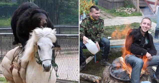 bear riding a horse and a russian man on fire