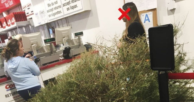 Lady Brought Her Dead Christmas Tree To Costco For A Full Refund