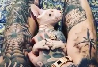 Russian Gangster Shows Of His Tattooed Cat  Ftw Video