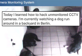 After learning how to hack into CCTV cameras this guy went looking for animals. 
