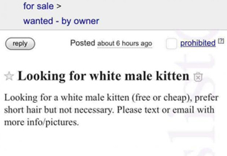 The kid must be an earful...
<br><br>

This guy is clearly an expert troll, but this woman should have realized something was up a couple messages in. Ah well we learn best from failure. That is a really funny looking cat though. Whenever going for a pet on Craigslist, I would first always check all other options. Shelters, breeders, strays, Facebook Marketplace, anything before going to find a pet on Craigslist. But if you are really out of options, you can still find pets on Craigslist, though be careful what you wish for.... 
<br><br>

If you think this ad is weird, check out what happens when a <a href=https://cheezburger.com/8811965440/cat-sells-dog-on-craigslist/ target="_blank">cat sells a dog</a> on Craigslist. Or these amazing <a href=https://cheezburger.com/1986309/top-ten-craigslist-cat-memes/ target="_blank">Craigslist cats</a> that are memes of the highest order.