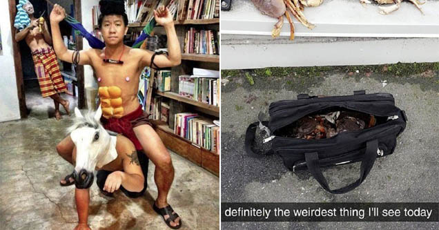 29 Pics That Will WTF Your Day Up