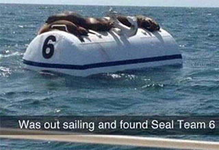 Random, funny, weird and WTF pictures from around the web.