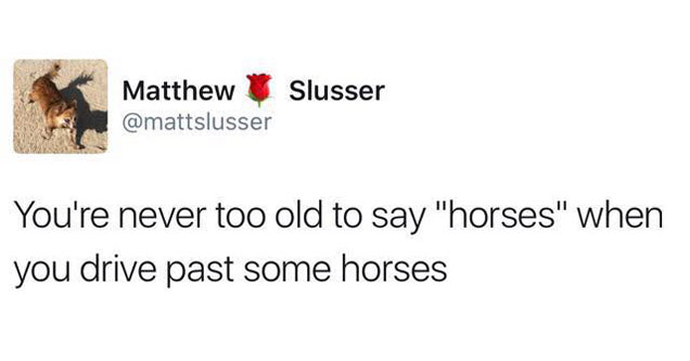 24 Incredibly Relatable Memes That Are Hard to Argue With