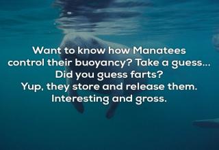 22 Unbelievable Facts That Will Astound You - Wow Gallery | eBaum's World