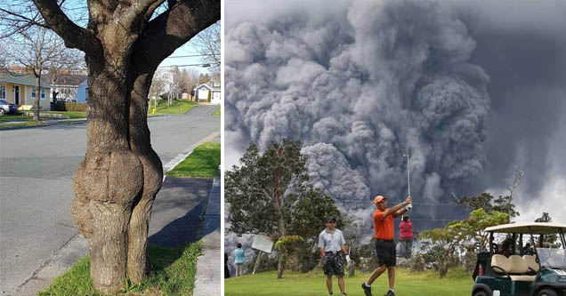 32 Fun-filled Pics to Make Your Week a Blast