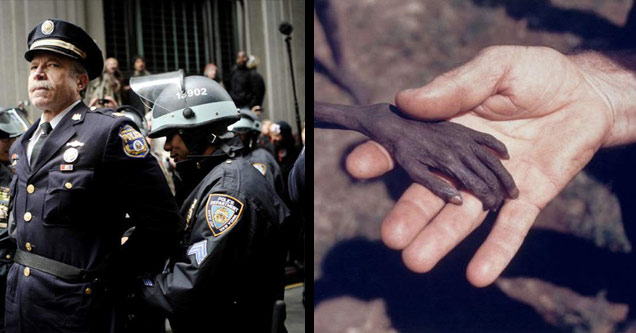 a police officer is arrested during wall street protests and a starving boys hand holding a missionary's hand