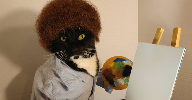 				           caption contest Swag ebaumsworld comments