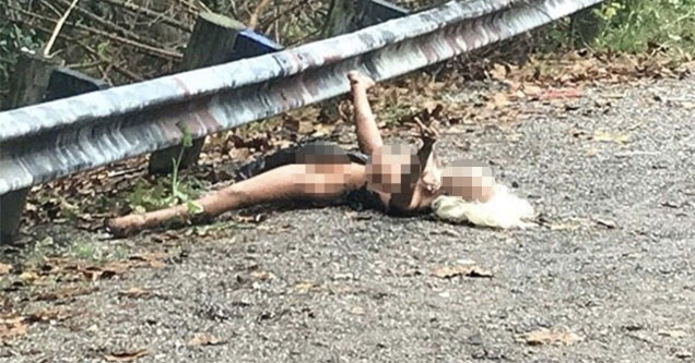 A discarded plastic lover caused quite the stir when someone mistook it for a dead body. 