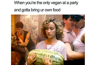 Here are some cruelty free memes for your animal loving bean eating friends.