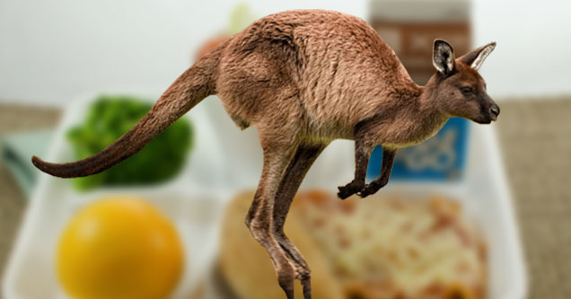 Nebraska School District Fires School Cook After He Served Students Kangaroo Meat
