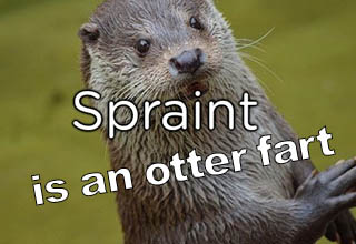 Who ever named these things was either bored or was farted on by an otter IRL.