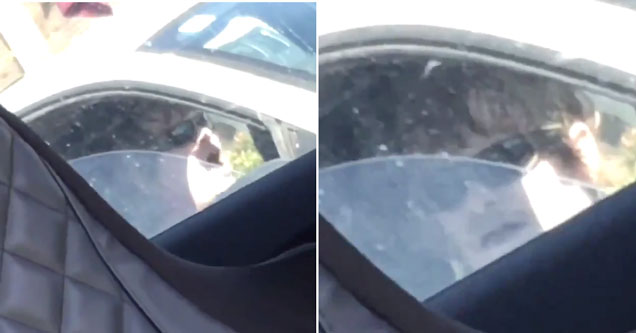 Traffic Definitely Stresses Some People Out More Than Others