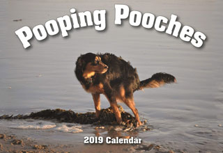 Have an upcoming white elephant party? Secret Santa? Maybe you have a friend who is a total jerk and you can't figure out what to give them for Christmas. Maybe YOU'RE the jerk and you want your gifts to reflect that. Well look no further, Pooping Pooches 2019 calendar is here. <br/><br/>
Get yours on <a href="https://amzn.to/2PxszCC">Amazon for $16.99</a>
